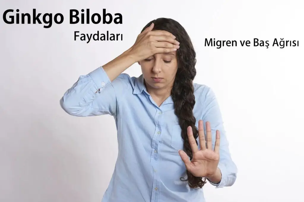 Ginkgo Biloba Migren ve Baş Ağrısı