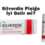 Silverdin Pişiğe İyi Gelir mi