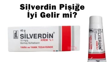 Silverdin Pişiğe İyi Gelir mi