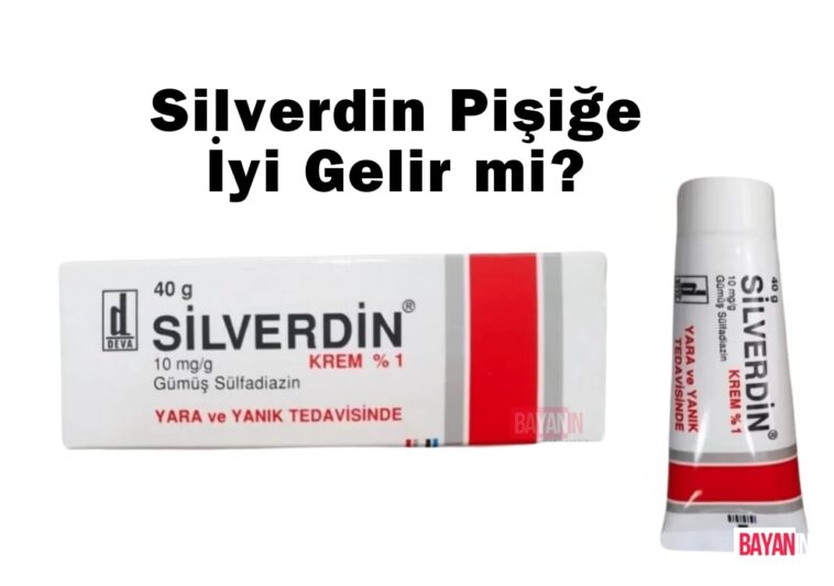 Silverdin Pişiğe İyi Gelir mi