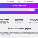 TikTok Video Downloader