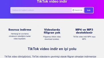 TikTok Video Downloader