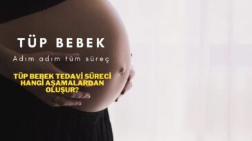 Tüp Bebek Tedavi Süreci Aşamaları